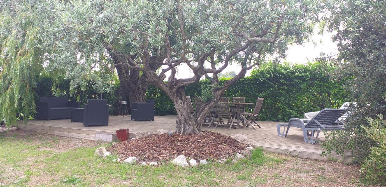 Un Petit Coin De Paradis Modene Bagian luar foto